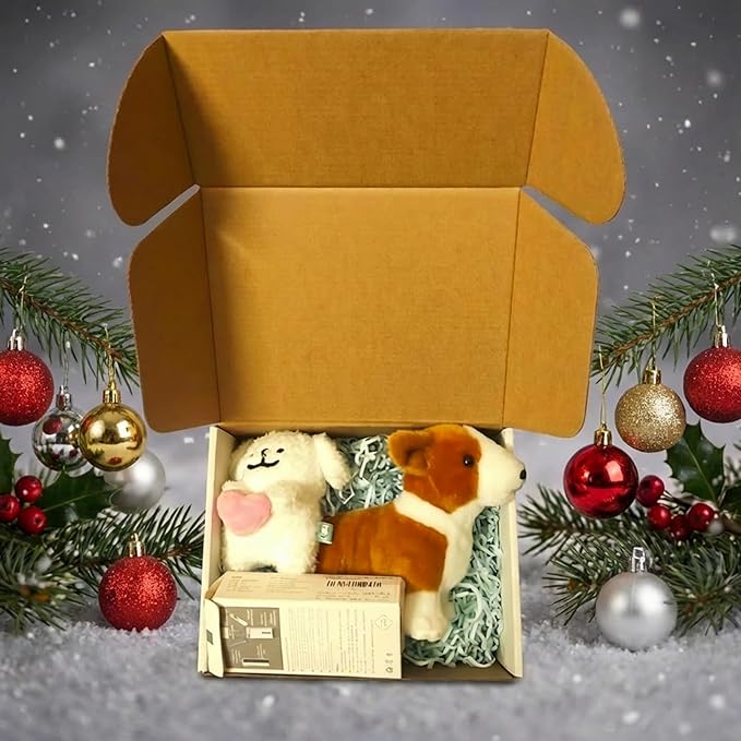 9x6x4 inch Shipping Boxes Set of 25，White Corrugated Cardboard Box for Mailing Literature Mailer Small Business Packing Gifts Shipping Packaging Craft Gifts Digest Size Book Giving Products