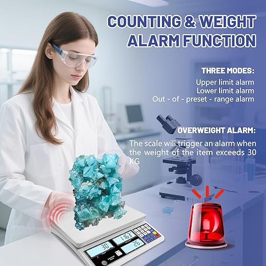 Industrial Counting Scale for Small Part (30kg, 66lb,1g), g/kg/lb,Coin Scale Built-in Battery,Digital Inventory Scale with Alarm Mode, RS-232 Interface for Printer Connectivity