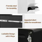 2 Drawer File Cabinet with Lock and 4 Keys, Mobile Metal Filing Cabinet, File Cabinets for Home Office, Under Desk, Pre-Assembly, File Drawer, Letter/Legal/A4 Hanging File Folders