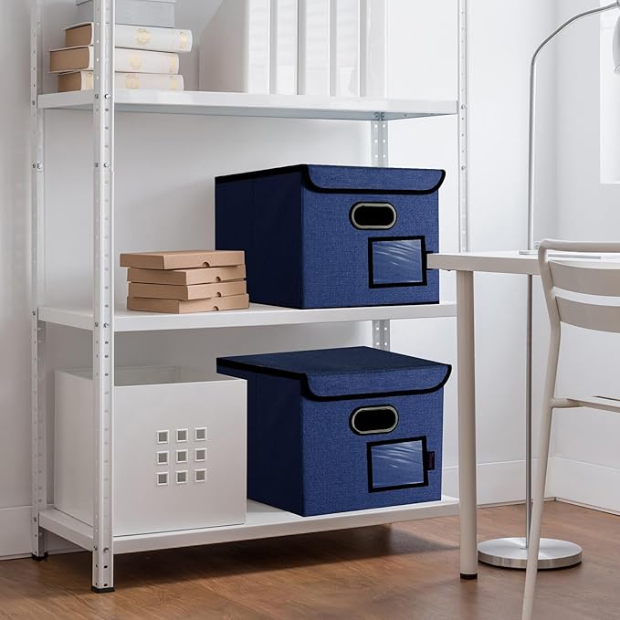 BALEINE File Organizer Box with Lid, Collapsible File Folder Organizer with Plastic Slide, Hanging File Folder Box for Office Document Storage (2 Pack, Blue)