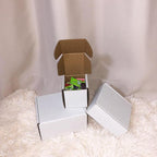 3x3x3 inch Shipping Boxes, White Corrugated Cardboard Box Literature Mailing Shipping Packaging Recyclable Storage Boxes and Craft Gifts Giving Products Business White Box Set of 25 (3''x3''x3'')