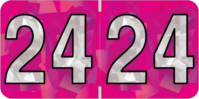 2024 Year Stickers, Doctor Stuff 2024 Chart Stickers, Holographic Fuchsia Colored, USA Made Year Labels for End Tab File Folders, 500 Labels per Roll, 1 Roll, 3/4" x 1-1/2"