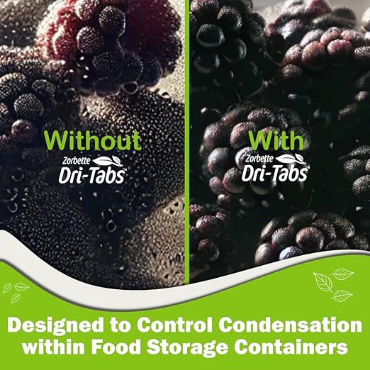 Dri-Tabs | Food-Safe Moisture Absorbers – Keep Fruits, Veggies, Snacks, Bread & More Fresher, Longer! Eco-Friendly, Plant Based Desiccant That Replaces Silica Gel Packets - 75pk (Green)