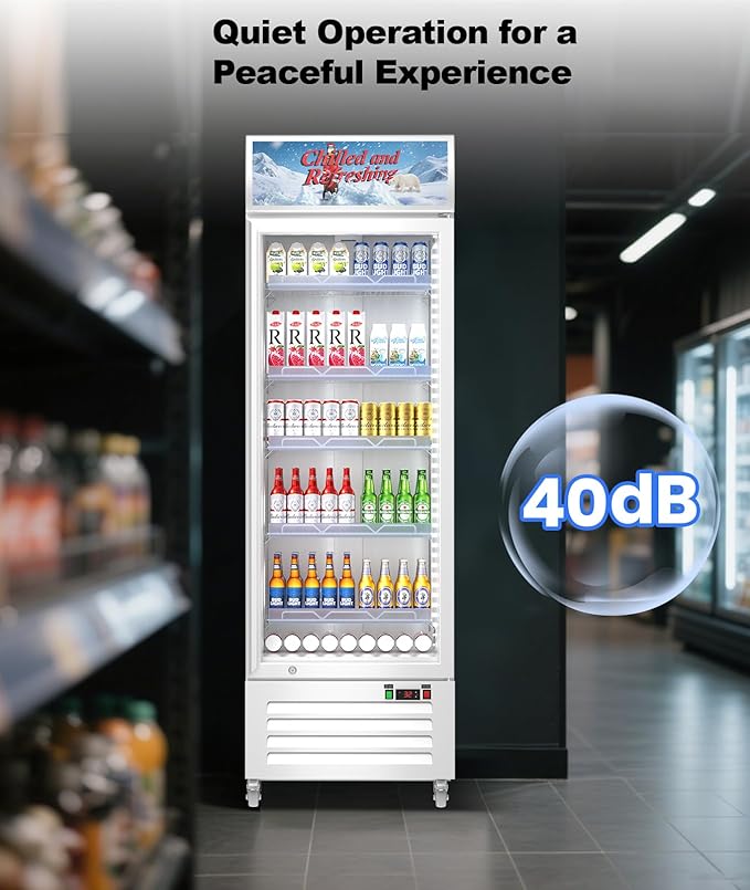 Tylza Commercial Refrigerator with Glass Door Display Beverage Fridge, 13.52 Cu Ft Upright Beverage Cooler Merchandiser with Rebound Door, Fast Cooling, Low Noise, White