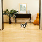 Modern Frame Clear Acrylic Freestanding Pet Gate - 24" High Extra-Wide Folding 4-Panel Dog Barrier for Doorways, Stairs & Large Openings, Indoor Fence for Dogs, Puppies & Cats