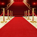 450 GSM Extra Thick Waterproof Red Carpet Runner for Events Decorations, 3X10 Ft Not Slip Red Runner Aisle Runway Rug for Wedding, Party, Banquet, Activity Entrance and Special Events Decorations