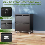 Aobabo 2 Drawer Lateral File Cabinet with Wheels, Lockable Metal Filing Cabinet for Home Office, Legal/Letter Size,Black,Required Assembled,15.87" D x 28.94" W x 34" H
