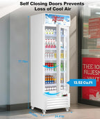 Tylza Commercial Refrigerator with Glass Door Display Beverage Fridge, 13.52 Cu Ft Upright Beverage Cooler Merchandiser with Rebound Door, Fast Cooling, Low Noise, White