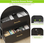 2 Drawer Lateral File Cabinet with Adjustable Shelves and Handles,Metal Filing Cabinet with Drawers and Keys for Home,Office,School,Fits A4/Letter/Legal Size Folders,Assemble Required,Black