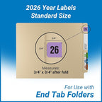 2026 Year Labels, Doctor Stuff 2026 Chart Stickers, Fluorescent Violet Color Coded, USA Made Year Stickers for End Tab File Folders, 500 Labels/Roll in a Dispenser Box, 3/4" x 1-1/2"
