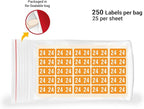 2024 MINI Year Stickers, Orange, Compatible with Smead ETS Series, Doctor Stuff 2024 Chart Stickers, USA Made Year Labels for End Tab File Folders, 250/Pack, 1 Package, 1/2" x 1" - Small Labels