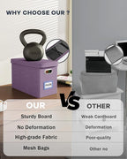 Oterri File Organizer with Lid, Hanging Filing Box with Mesh Pocket, Document Organizer for Letter Files, Portable Storage Box for Office & Home (1 PCS, Taro Purple)
