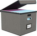 Huolewa File Organizer Box with Lid, Collapsible File Folder Organizer for Office Document Storage, Filing Box with Plastic Slide for Letter Size Hanging File Folders(1 Pack, Smoky Grey)