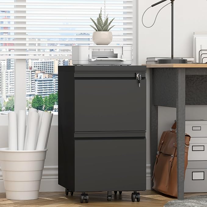 2 Drawer File Cabinet with Lock,29" H Small Filing Cabinet for Under Desk,Metal Filing cabinets for Home Office Organizer Letters/Legal/A4(Assembly Required,Black)