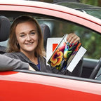 Car Registration & Insurance Holder, Leather Glove Box Organizer, Unisex, Multicolor, Patterned, CADDY, 6 Compartments, 5.1 inches