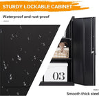 STANI Metal Storage Cabinet with 2 Adjustable Shelves, Steel Counter Cabinet with Lockable Doors for Home Office (Black)