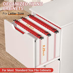 Plastic Hanging File Folder Extra Capacity,12 Pack Reinforced Hang Folders with Heavy Duty 2 Inch Expansion,Filing Cabinet Folders Letter Size,Hanging Organizer Designed for Bulky Files(Red)