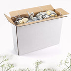 Hoikwo 12x9x4 Inches Medium White Shipping Boxes Set of 25, Sturdy Cardboard Boxes for Small Business for Packaging Mailing