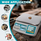 Industrial Counting Scale 15kg/33lb x 0.1g Digital Inventory Counting Scale High Precision Electronic Gram Scale with Battery DC/AC Power for Parts Jewelry Coins (g/kg/lb/oz)