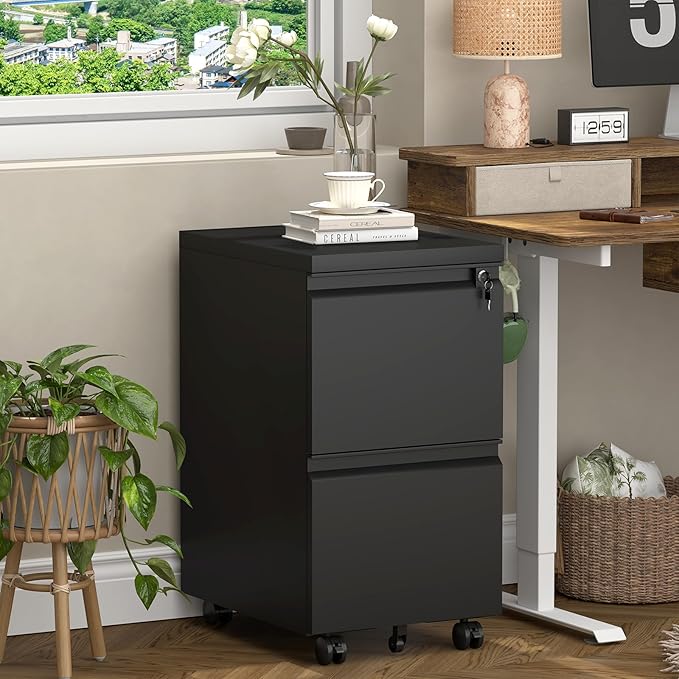 2 Drawer File Cabinet with Lock,29" H Small Filing Cabinet for Under Desk,Metal Filing cabinets for Home Office Organizer Letters/Legal/A4(Assembly Required,Black)