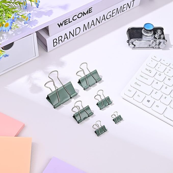Temiary Aesthetic Binder Clips, 12 Pcs 2 Inches Small Metal Binder Clip with Clear Storage Container, Binding Paperwork Clamps for School Teachers Office Supplies (Green)