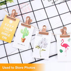 Coideal Bulldog Paper Clips Rose Gold, 20 Pcs 2 Inch Large Metal Binder Hinge Clip for Office, Food Bags, Pictures Photos, Art Crafts (50 mm)