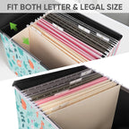 BALEINE File Organizer Box with Lid, Collapsible File Folder Organizer with Plastic Slide, Hanging File Folder Box for Office Document Storage (1 Pack, Spring Stroll)