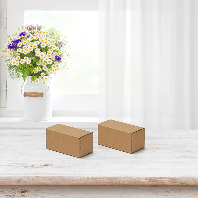 HORLIMER 4.6x2.2x2.2 inches Shipping Boxes Set of 100, Brown Corrugated Cardboard Box Literature Mailer