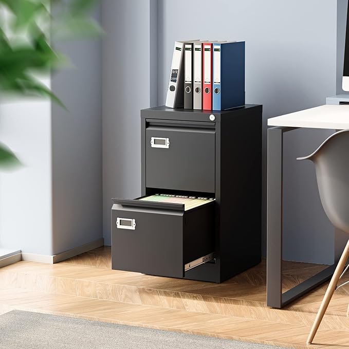 2 Drawer File Cabinet, Filing Cabinets for Home Office, Metal Vertical File Storage Cabinet with Lock, Locking File Cabinet for A4 Legal/Letter, 15.1" W x 17.7" D x 28.7" H, Assembly Required