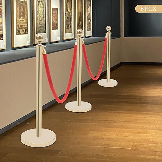 6-Post Velvet Rope Stanchions with 4 Red Ropes, Gold Stainless Steel Posts for Crowd Control with Velvet Ropes and Velvet Ropes Event & Queue Management,Party Runway Carpet
