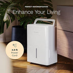 hOmeLabs Dehumidifier - Advanced Humidity & Moisture Control, Quiet, Efficient, Auto Shut-off, Ideal for Home, Basement, Office - 1,800 Sq Ft Wi-Fi (8 Pint MAX 24 Pint at 95°F, 90% RH)