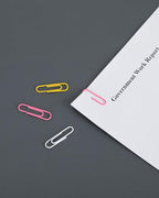 PAPERPAL Paperclips for Office School & Personal Use, Duo Size Vinyl Coated Paper Clip (2" & 1-2/7"), 540 Large & Medium Size Paper Clips (360 in No.1 Size, 180 in Jumo Size), Assorted Color