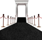 450 GSM Extra Thick Waterproof Black Carpet Runner for Events Decorations, 3X10 Ft Not Slip Red Runner Aisle Runway Rug for Wedding, Party, Banquet, Activity Entrance and Special Events Decorations