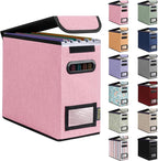 BALEINE File Organizer Box with Lid, Collapsible File Folder Organizer with Plastic Slide, Hanging File Folder Box for Office Document Storage (1 Pack, Pink, S)
