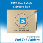2026 Year Stickers, Doctor Stuff 2026 Chart Stickers, Light Blue Color Coded, Ringbook Sheets, Reynolds & Reynolds Style, USA Made Year Labels for End Tab File Folders, 270/Package, 3/4" x 1-1/2"