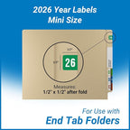 2026 MINI Year Stickers, Green, Compatible with Smead ETS Series, Doctor Stuff 2026 Chart Stickers, USA Made Year Labels for End Tab File Folders, 250/Pack, 1 Package, 1/2" x 1" - Small Labels