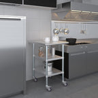 AmGood Stainless Steel Work Table with 2 Shelves and Casters (Stainless Steel Work Table with 2 Shelves + Casters, 24" Long x 30" Deep)