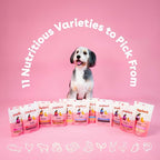 Pupford Freeze Dried Training Treats for Dogs & Puppies, 475+ Two Ingredient Bites (Salmon, 4 oz)