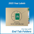 2025 Year Stickers, Doctor Stuff 2025 Chart Stickers, Green Color Coded, Data File Style, USA Made Year Labels for End Tab File Folders, 500/Roll, 1 Roll, 15/16" x 1-1/4"