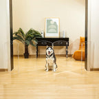 Modern Frame Clear Acrylic Freestanding Dog Gate - 32" Tall Extra-Wide Folding 6-Panel Pet Barrier for Doorways, Stairs & Large Openings, Indoor Fence for Small to Large Dogs & Cats
