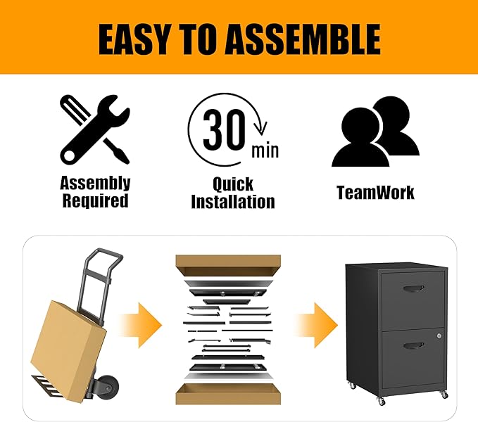 2 Drawer Mobile File Cabinet with Lock, Metal Filing Cabinets with Wheels, Black Rolling Storage Cabinet, Under Desk Vertical File Cabinet for Home Office, Lockable Steel Two Drawer for Letter Size