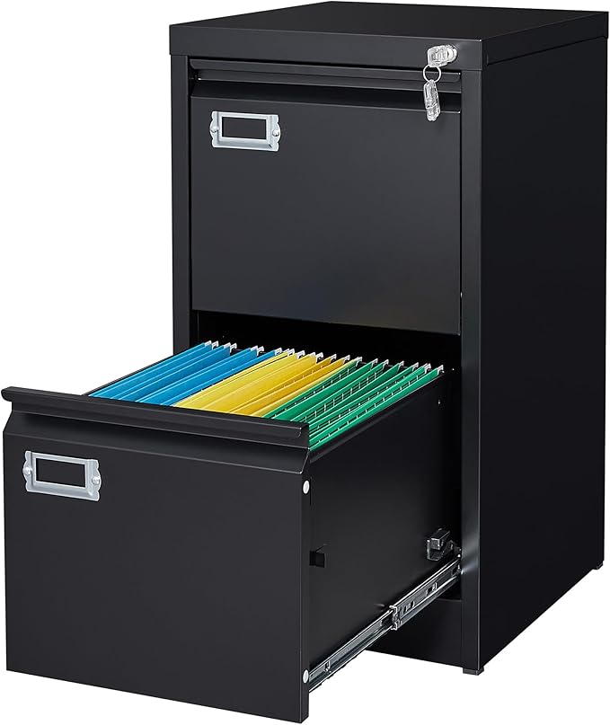 Letaya 2 Drawer File Cabinet with Lock,Metal Vertical Filing Cabinets for Home Office- Storage A4/F4/Letter/Legal -Assembly Required (Black)