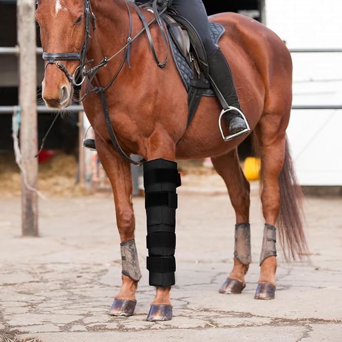 QWORK Horse Ice Leg Wraps - Reusable Gel Ice Pack Therapy Set of 2 - for Horses Injuries, Swelling, Arthritis, Black