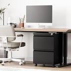 2 Drawer File Cabinet，Mobile Filing Cabinet with Lock and Wheels，Fully Assembled Metal Under Desk File Cabinets for A4/Letter/Legal Size（Black