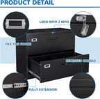 2 Drawer Lateral File Cabinet Metal Filing Cabinet with Lock Office Home Steel Lateral File Cabinet for A4 Legal/Letter Size Lockable Wide Metal Cabinet,Assembly Required(2 Drawer, Black)