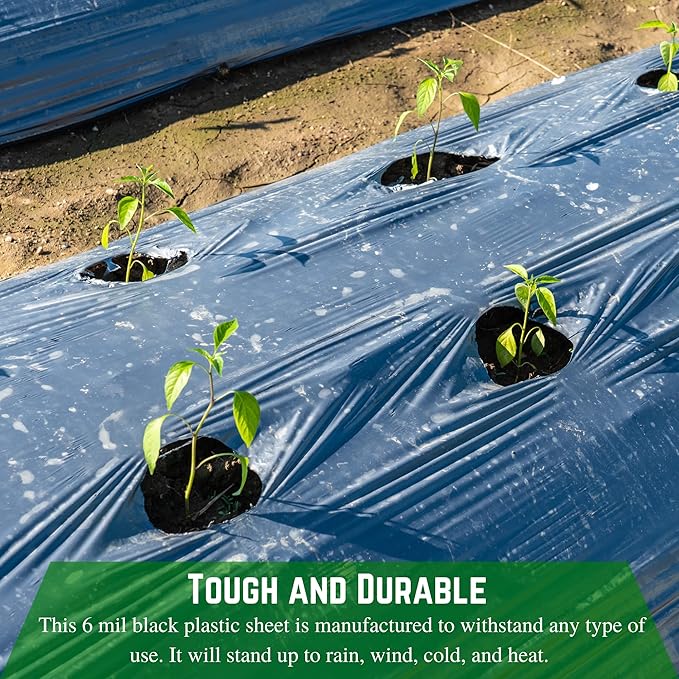 Farm Plastic Supply Tarp - 6 mil Polyethylene Vapor Barrier - (6' x 100') Sheeting, Black Tarp, Heavy Duty