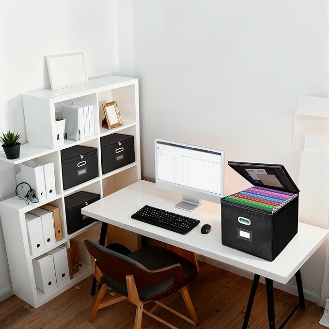 4 Pack Large File Organizer Boxes with Lids, Document Organizer Box with Mesh Pockets & Zippers for Letter/Legal Size Folders, Collapsible File Storage Box (Black, Without Folders)