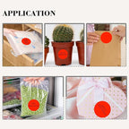 2 Inch Fluorescent Red Circle Stickers 500 Pcs,Permanent Color Coding Dots for Office Home Organization, File Classification,Multipurpose Labels