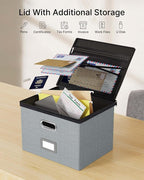 Oterri 2 Pack Large File Organizer Boxes with Lids, File Box with Mesh Pockets, Document Organizer Box for Letter/Legal Size Folders, Zippers Important Document Organizer (Grey, Without Folders)