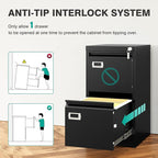 SISESOL 2 Drawer File Cabinet with Lock and Tag,Narrow Two Drawer Filing Cabinet,Vertical Metal File Cabinets,Small Filing Cabinets for Home Office Fit Letter/A4/Legal Size File,Easy Assembly